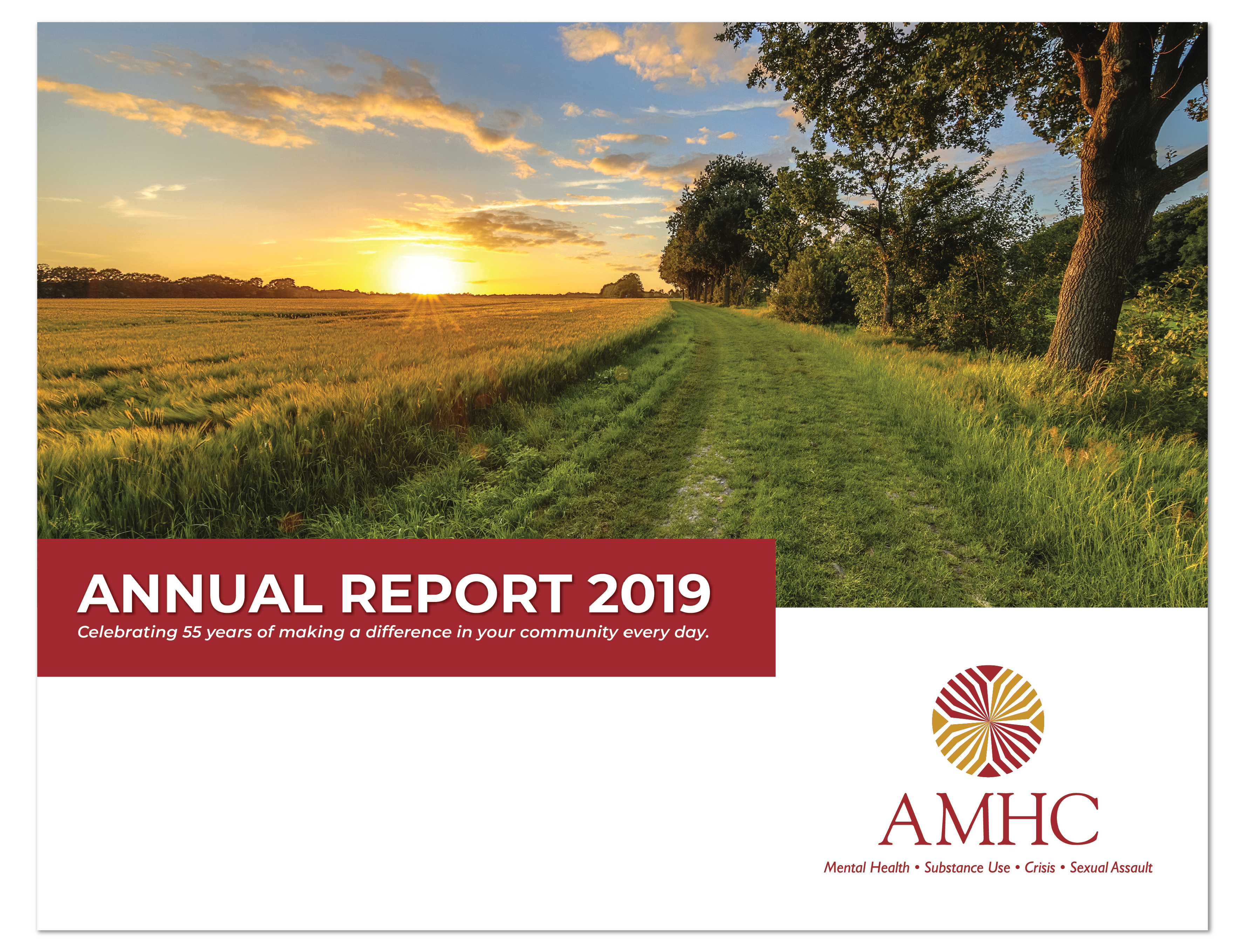 AMHC 2019 Report.png
